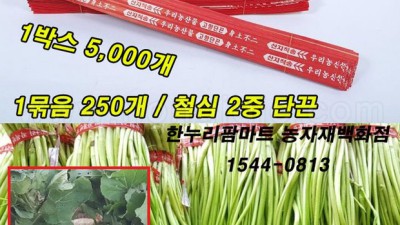 튼튼하고 싼 배추묶는끈 득템 후기! 내돈내산 추천템